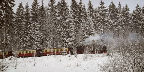 Titelbild für Selketalbahn Harzer Winterwald
